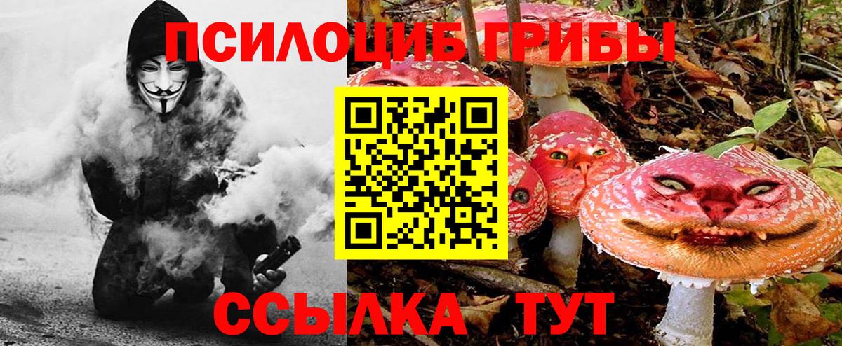 Галлюциногенные грибы Cubensis  Вход с VPN  Лянтор 