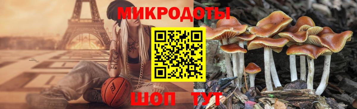 Псилоцибиновые грибы Magic Shrooms Лянтор